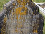 image of grave number 796024